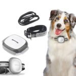 Collared Cat Dog Tracker Pet Locator Pet