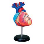 Puzzle assembly toys