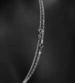 Platinum-plated Pure Silver Twist Chain - Image 5