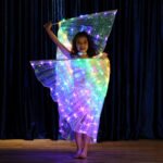 LED light wings - Image 5