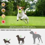 Automatic Throwing Machine  Pet Outdoor Toy Ball Dog Tennis Launcher  Dog Walking Tool - Image 6