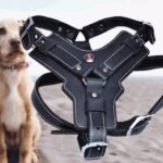 Genuine Leather Dog Harness