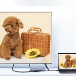 Compatible with Apple, MacBook docking hub PD power bank - Image 3