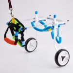 Disabled scooter for dogs - Image 4
