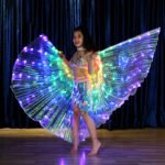 LED light wings - Image 4