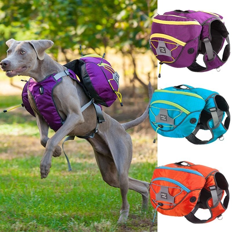 533983132928-1.jpg Pet self backpack - Image 1