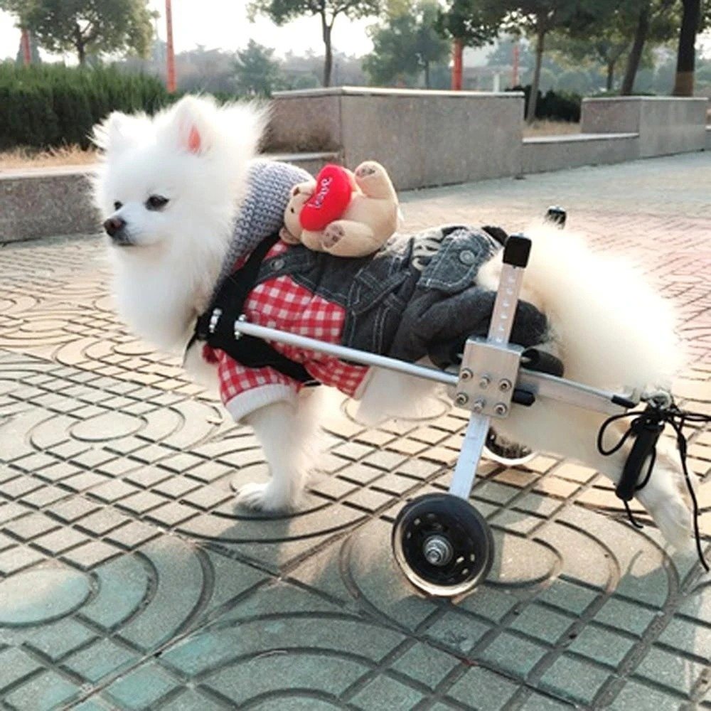 5922526745786-1.jpg Dog Wheelchair - Fully Adjustable - Image 1