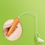 2 In 1 Pet Cat Toy With Feather For Self-play Cat Turntable Pets Supplies Cat Toy Toys Cats Items Products - Image 5