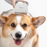 Pet Grooming Tool For Shaving And Grooming - Image 6