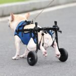 Pet Disabled Dog Wheelchair Scooter - Image 10