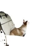 Pet Dog And Cat Car Front And Rear Bed Pads - Image 5