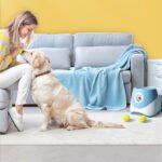 Automatic Throwing Ball Thrower Tennis Launcher Funny Dog Toy - Image 2